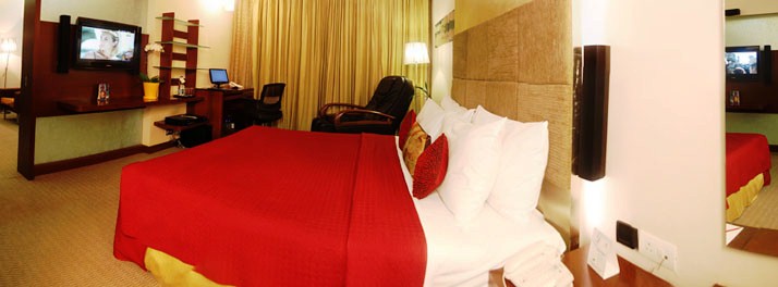 719/Sayaji Hotel - Pune 10.jpg